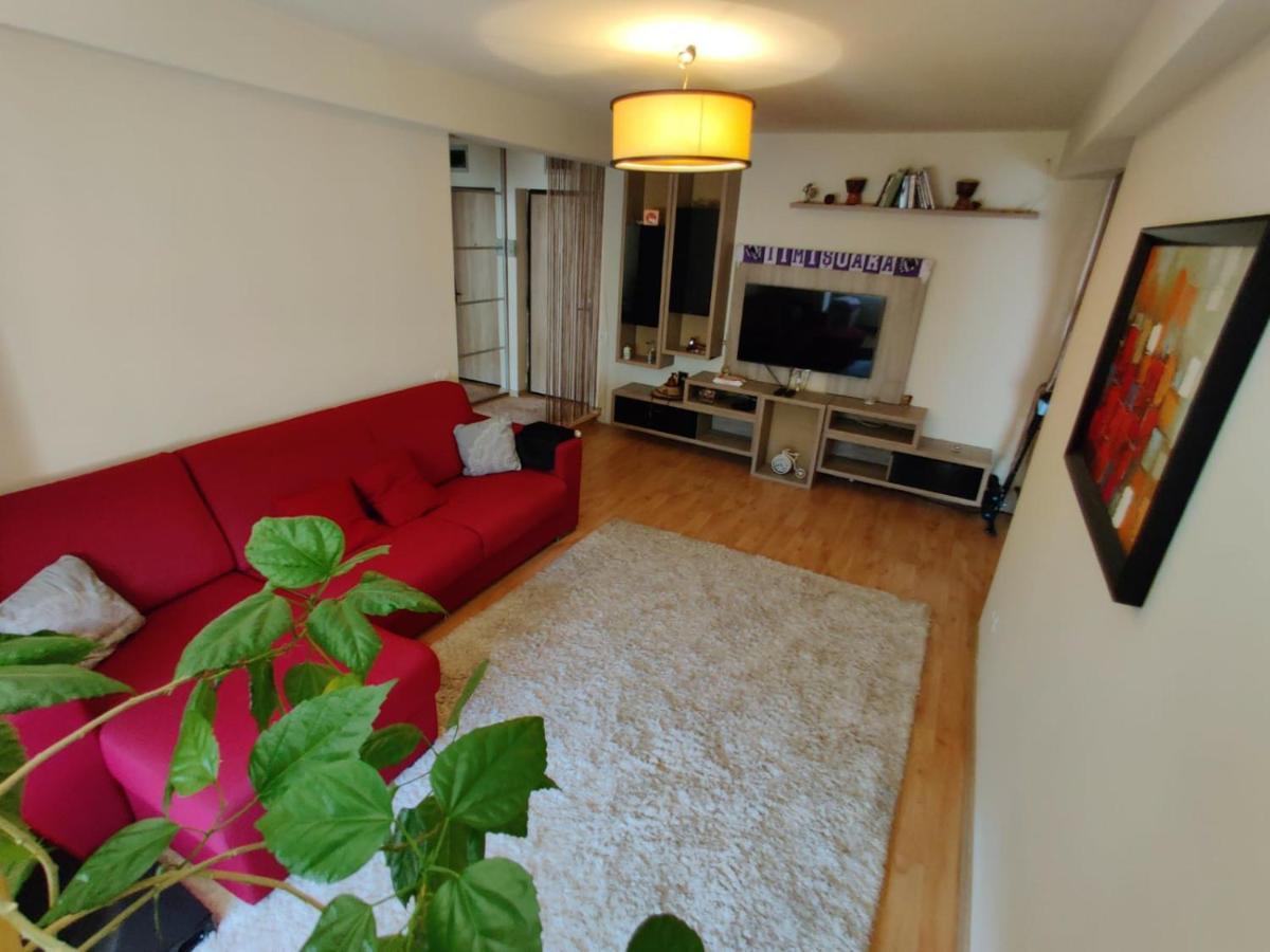 Lucky Home Timisoara 1 Экстерьер фото